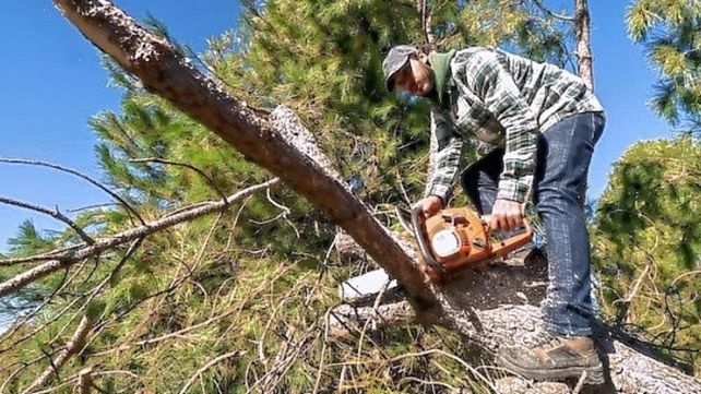 Registro. De podadores habilitados lleva adelante la Municipalidad de Basavilbaso.