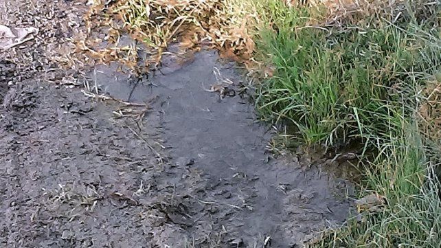 Paraná: en barrio Vicoer 46 Viviendas reclaman la reparación de caños de agua