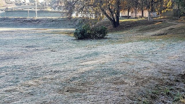 Bajo cero: la helada se hizo presente en una mañana muy fría