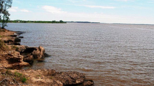 La extraña criatura despertó susto en los lugareños.