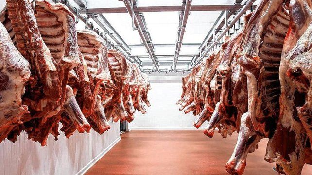 Afirman que el precio de la carne seguirá en alza tras suba de 15%. Afirman que el precio de la carne seguirá en alza tras suba de 15%.
