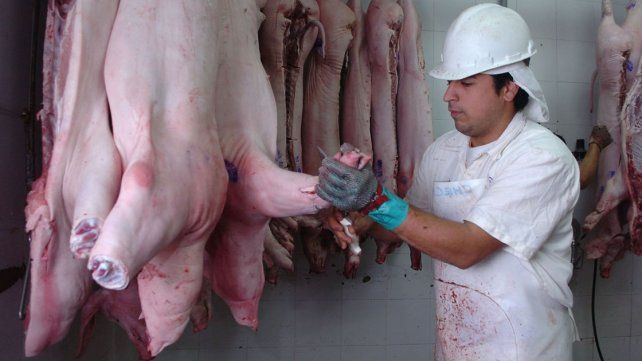 Mercado. Entre las ventajas de la producción porcina nacional, el empresario marcó la eficiencia.