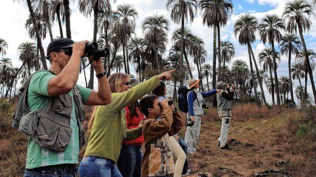 El Parque Nacional El Palmar promueve nuevas experiencias para los visitantes. El Parque Nacional El Palmar promueve nuevas experiencias para los visitantes.
