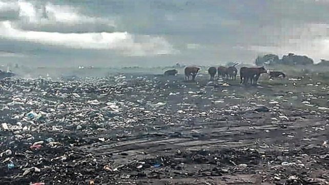 Preocupan las quemas en el basural a cielo abierto de Santa Elena