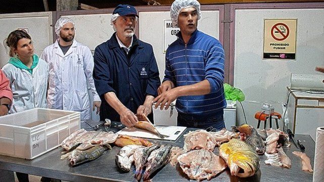 Participan de capacitaciones permanentes.