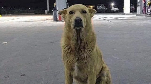 Rubio fue asesinado en Mar del Tuyú.