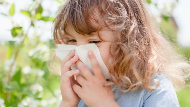 Alergias en primavera: recomendaciones y por qué se generan