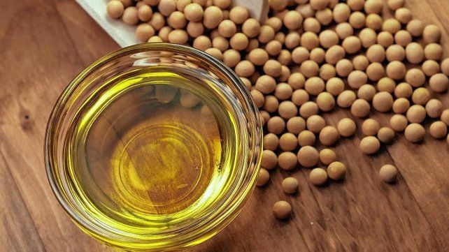 Argentina es una de las principales exportadoras de harina y aceite de soja. El cierre de exportaciones puso en alerta a productores.