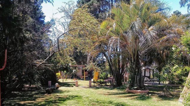 Muchos buscan naturaleza y abundante sombra Muchos buscan naturaleza y abundante sombra