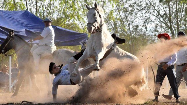 Cuestionan el impacto en animales y plantean si las jineteadas son compatibles con normas legales y sensibilidad social actual Cuestionan el impacto en animales y plantean si las jineteadas son compatibles con normas legales y sensibilidad social actual