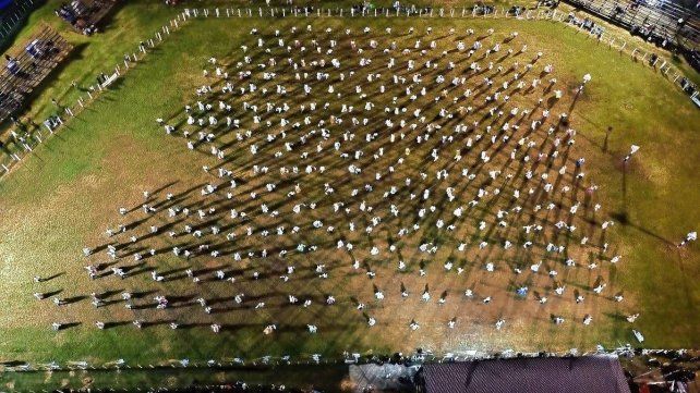 El Ballet Diamante Baila volvió a pintar de celeste y blanco el Campo “Lisardo Gieco”, con casi 600 integrantes. El Ballet Diamante Baila volvió a pintar de celeste y blanco el Campo “Lisardo Gieco”, con casi 600 integrantes.
