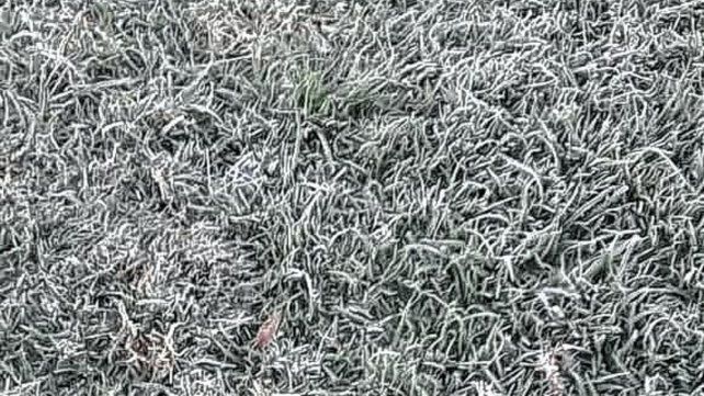 Especialistas hablan sobre una posible caída de agua nieve en Entre Ríos