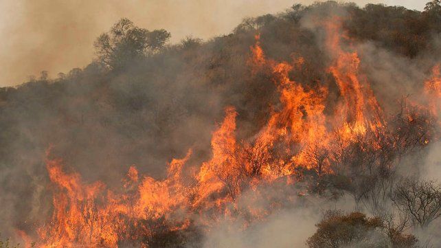 Otorgarán 10.000 pesos a trabajadores que combatan incendios