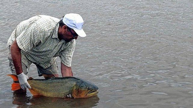Aclaración desde CARU. Aclaración desde CARU.