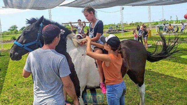 Pequeños Gigantes brinda equinoterapia desde 2016