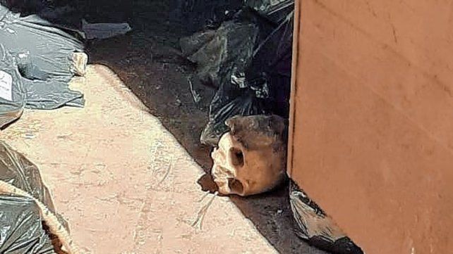 Los restos óseos aparecieron en bolsas negras.