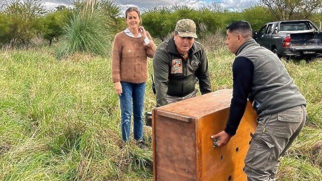 Chamarrita fue liberada el jueves Chamarrita fue liberada el jueves