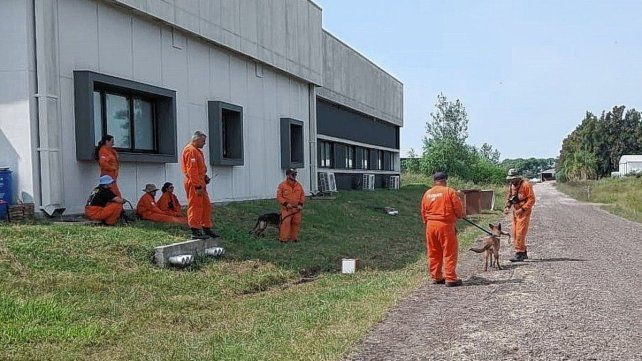 Brigada k9. Hubo prácticas conjuntas de binomios de varios cuarteles. Brigada k9. Hubo prácticas conjuntas de binomios de varios cuarteles.