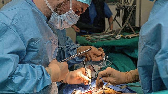 Renacer. Un equipo de médicos en el quirófano durante un trasplante, que amplía la posibilidad de vida. Renacer. Un equipo de médicos en el quirófano durante un trasplante, que amplía la posibilidad de vida.