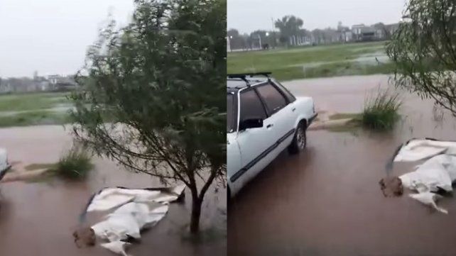 Un trabajador murió electrocutado en zona rural de Basavilbaso. Un trabajador murió electrocutado en zona rural de Basavilbaso.